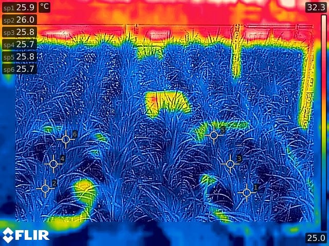 Termografía en la agricultura 6